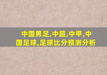 中国男足,中超,中甲,中国足球,足球比分预测分析