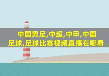 中国男足,中超,中甲,中国足球,足球比赛视频直播在哪看