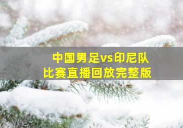 中国男足vs印尼队比赛直播回放完整版