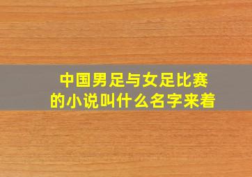 中国男足与女足比赛的小说叫什么名字来着