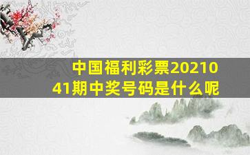 中国福利彩票2021041期中奖号码是什么呢