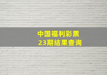 中国福利彩票23期结果查询