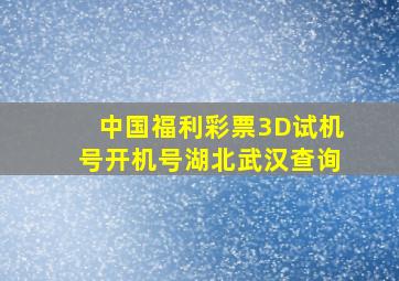 中国福利彩票3D试机号开机号湖北武汉查询