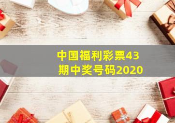 中国福利彩票43期中奖号码2020