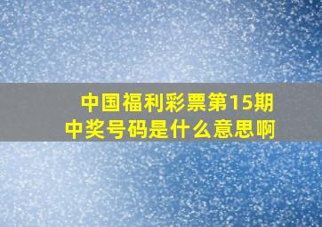 中国福利彩票第15期中奖号码是什么意思啊