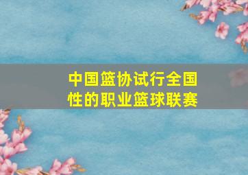 中国篮协试行全国性的职业篮球联赛