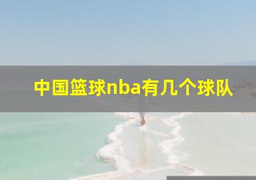 中国篮球nba有几个球队