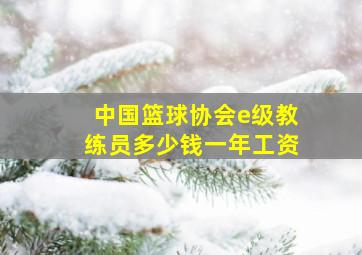 中国篮球协会e级教练员多少钱一年工资