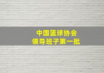 中国篮球协会领导班子第一批