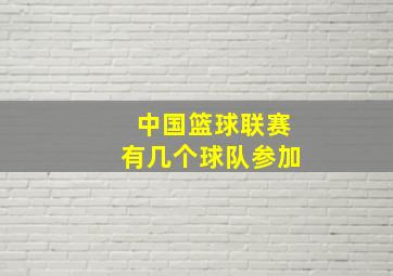 中国篮球联赛有几个球队参加