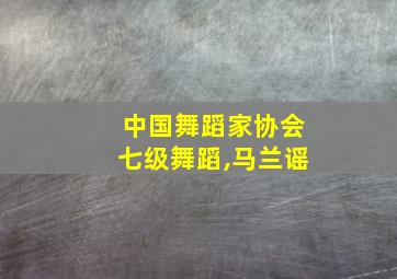 中国舞蹈家协会七级舞蹈,马兰谣