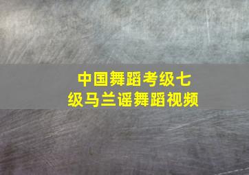 中国舞蹈考级七级马兰谣舞蹈视频