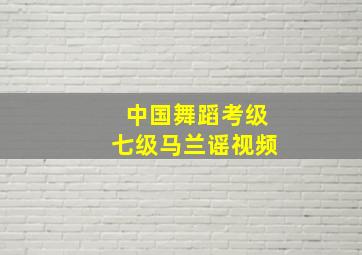 中国舞蹈考级七级马兰谣视频