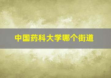 中国药科大学哪个街道