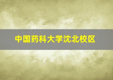 中国药科大学沈北校区