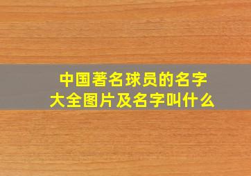 中国著名球员的名字大全图片及名字叫什么