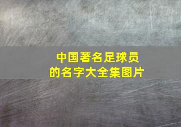 中国著名足球员的名字大全集图片