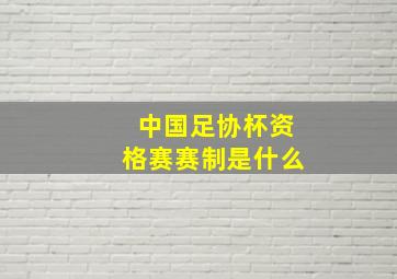 中国足协杯资格赛赛制是什么