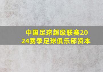 中国足球超级联赛2024赛季足球俱乐部资本