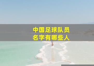 中国足球队员名字有哪些人