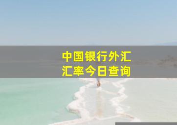 中国银行外汇汇率今日查询