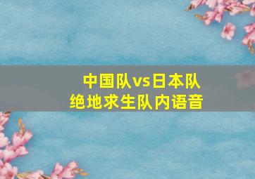 中国队vs日本队绝地求生队内语音