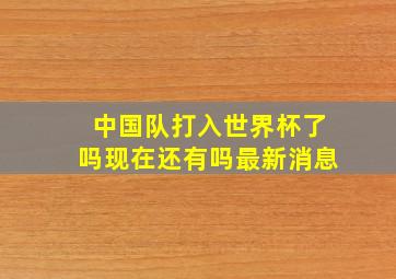 中国队打入世界杯了吗现在还有吗最新消息