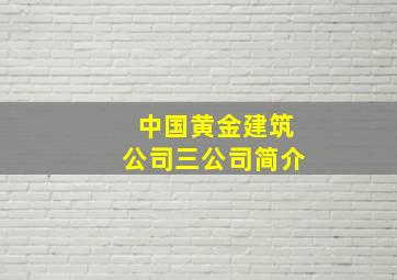 中国黄金建筑公司三公司简介