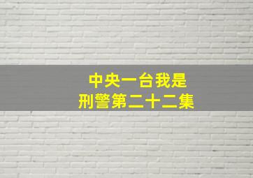 中央一台我是刑警第二十二集