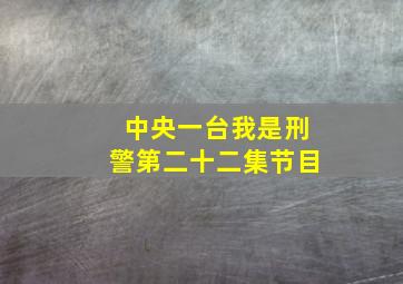 中央一台我是刑警第二十二集节目