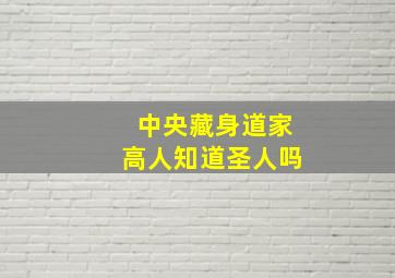 中央藏身道家高人知道圣人吗