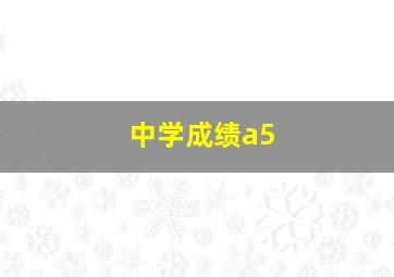 中学成绩a5