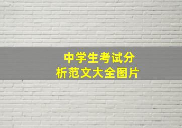 中学生考试分析范文大全图片