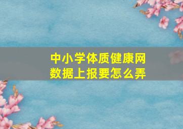 中小学体质健康网数据上报要怎么弄