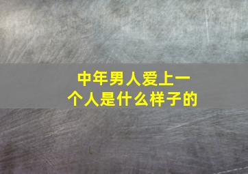 中年男人爱上一个人是什么样子的