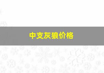 中支灰狼价格