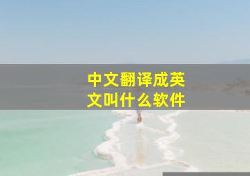 中文翻译成英文叫什么软件