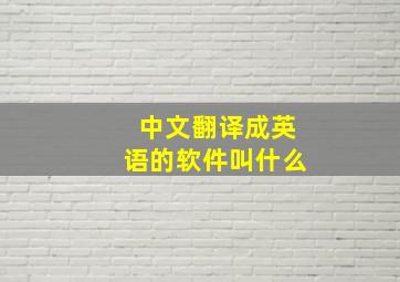 中文翻译成英语的软件叫什么