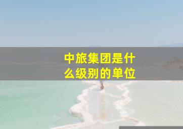 中旅集团是什么级别的单位