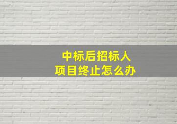 中标后招标人项目终止怎么办