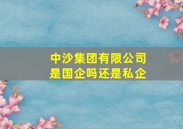 中沙集团有限公司是国企吗还是私企