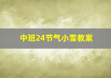 中班24节气小雪教案