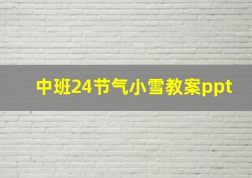 中班24节气小雪教案ppt