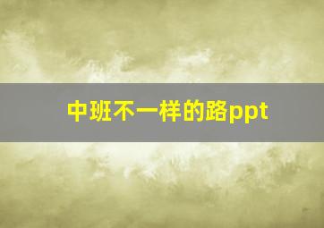 中班不一样的路ppt