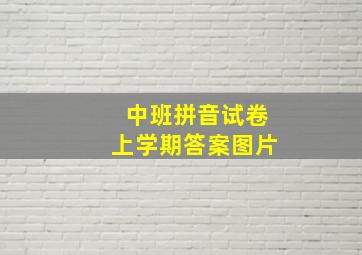 中班拼音试卷上学期答案图片