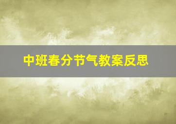 中班春分节气教案反思