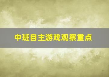 中班自主游戏观察重点