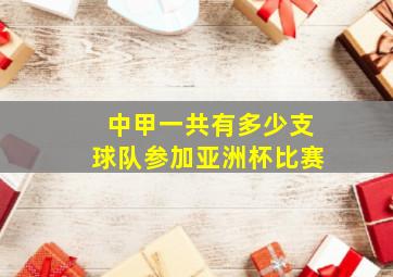 中甲一共有多少支球队参加亚洲杯比赛