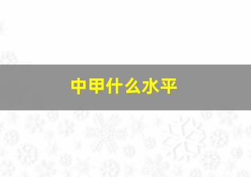 中甲什么水平