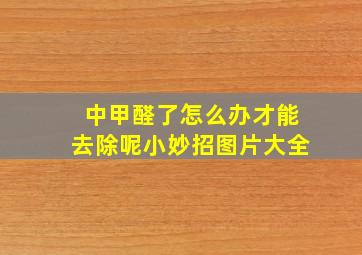 中甲醛了怎么办才能去除呢小妙招图片大全